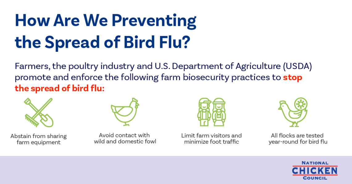 Avian Flu (Avian Influenza) Information