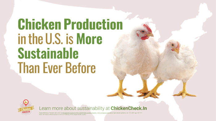 Sustainable Chicken