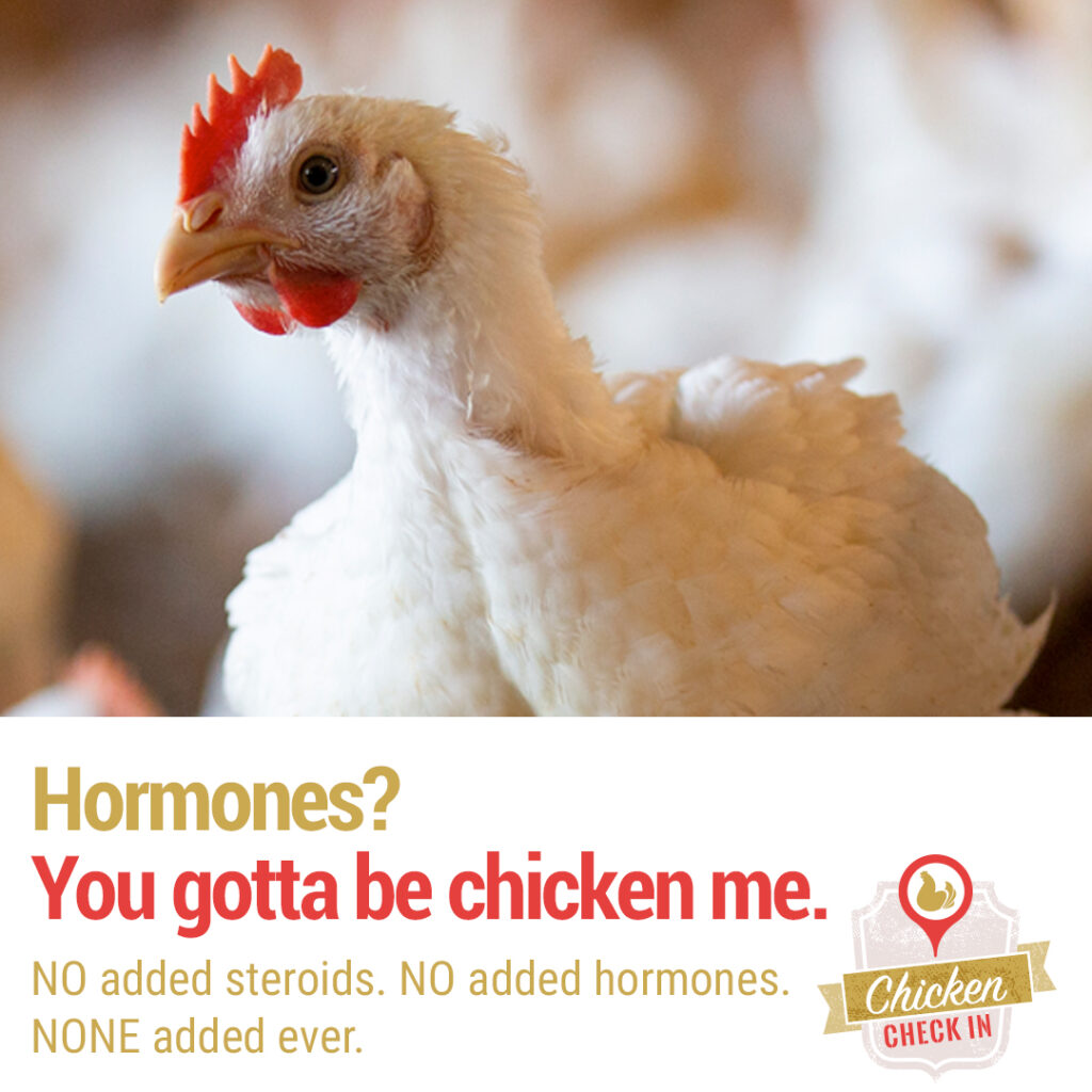 Are Free Range Chickens Fed Hormones